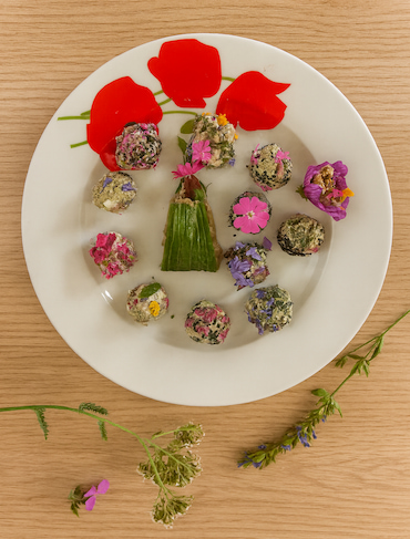 assiette créative ld v2