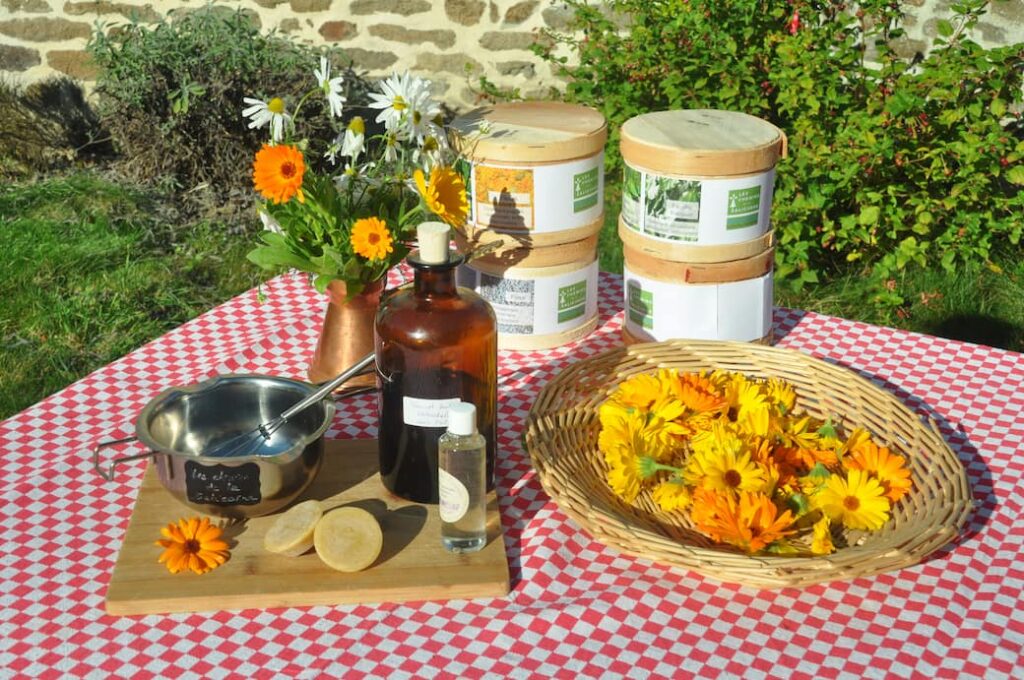 atelier soin calendua