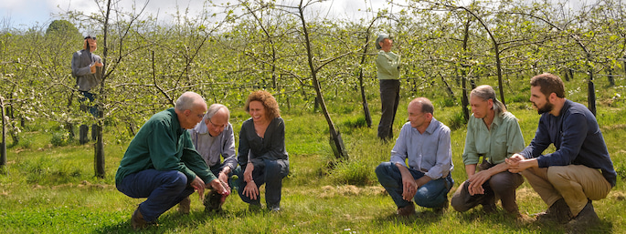 Sortie en groupe dans un champ de pommiers