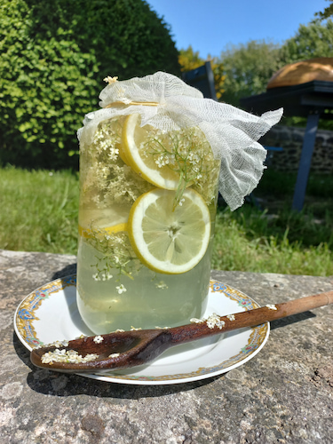 tranformation du sureau ld