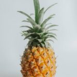 Ananas pour illustrer le proverbe créole 
