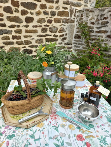 atelier découverte herboristerie Cueillette, plantes à observer, tisane, tout le matériel pour fabriquer un baume sur une table décorée de fleurs sauvages